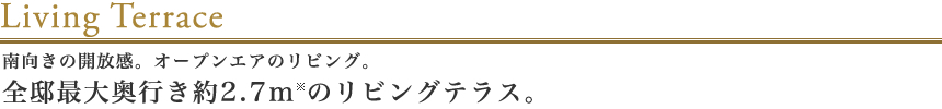 南向きの開放感。オープンエアのリビング。